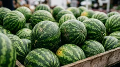 Gefährliche Wassermelonen sind leicht zu erkennen: 3 Anzeichen, mit denen Sie Ärger vermeiden können