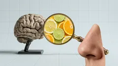 Warum Gerueche Erinnerungen blitzschnell ausloesen und was dein Gehirn dabei macht